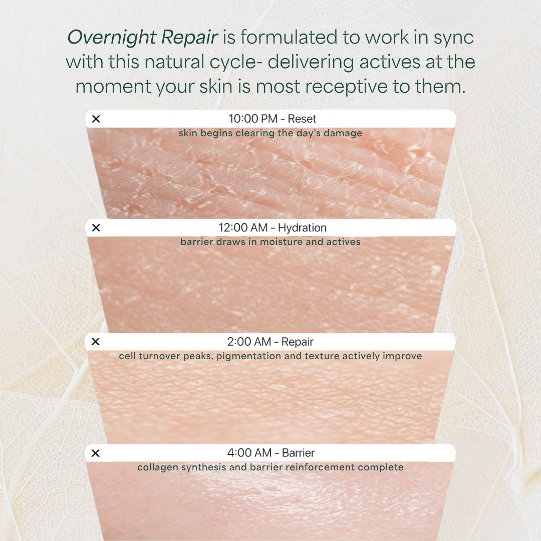 Overnight Repair Night Cream