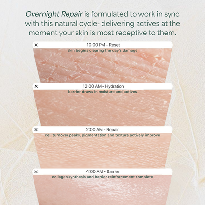 Overnight Repair Night Cream