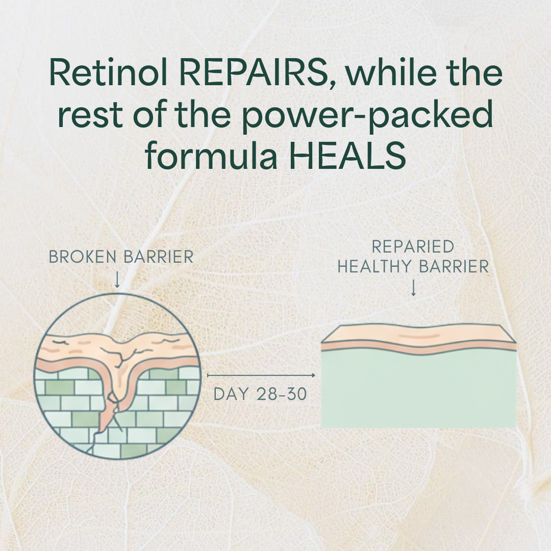 Overnight Repair Night Cream