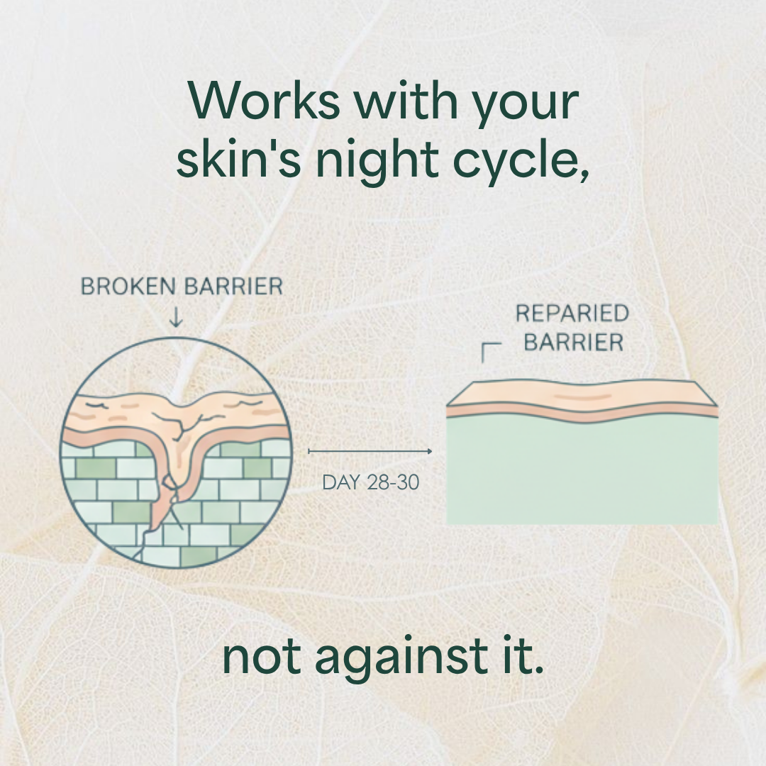 Overnight Repair Night Cream