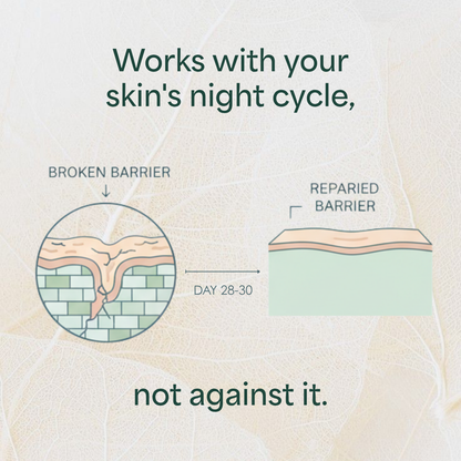 Overnight Repair Night Cream