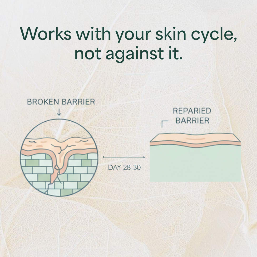 Overnight Repair Night Cream